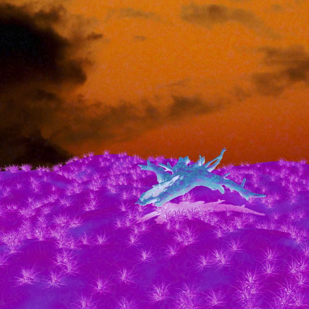 Grass Plane Fantasy Xray. 3D.